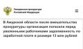 Свободненская городская прокуратура Амурской области провела проверку соблюдения трудового законодательства