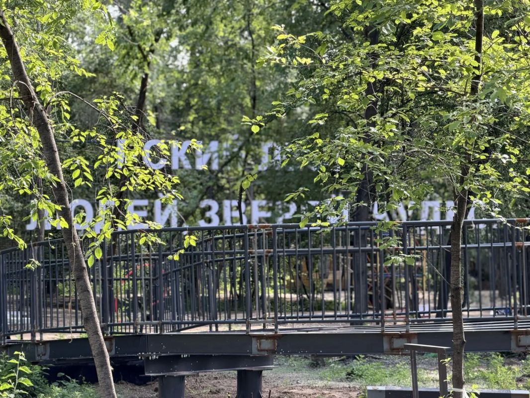 На набережной Амура продолжается благоустройство «Амурского леса» На набережной Амура продолжается благоустройство «Амурского леса»