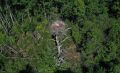 ��������� ���������������� ����� � ��������� ������� ����� �� ���� ���