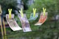 ��������� ������� ���� � ������������� ����������� � ������� ��������� �������