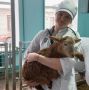 Будущие ветеринары стали охотнее заключать договора на целевое обучение