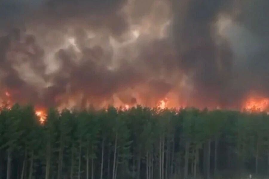 Авиалесоохрана России подготовила вероятностный прогноз пожарной опасности в лесах России на июль 2026 года