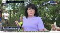 Павлины в парке Ивановки: как экзотические птицы осваиваются в новом доме