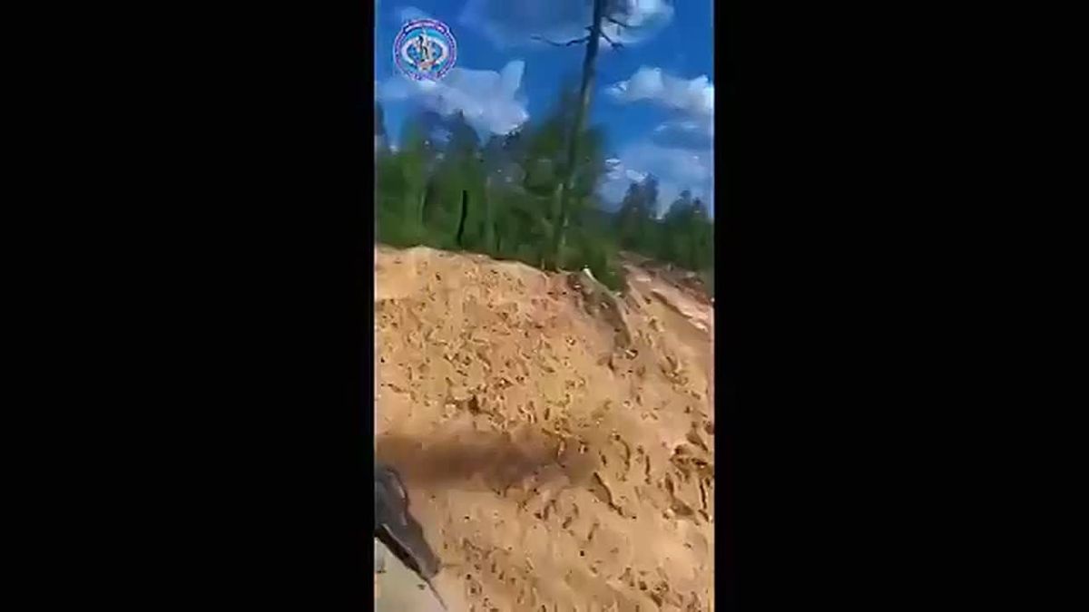 Жителям Приамурья предлагают стать общественными инспекторами по охране леса