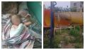 Прокуратура проверит детскую площадку Благовещенска, где школьница получила тяжелую травму руки
