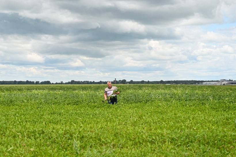 В Амурской области контроль за сельхозземлями будут вести из космоса