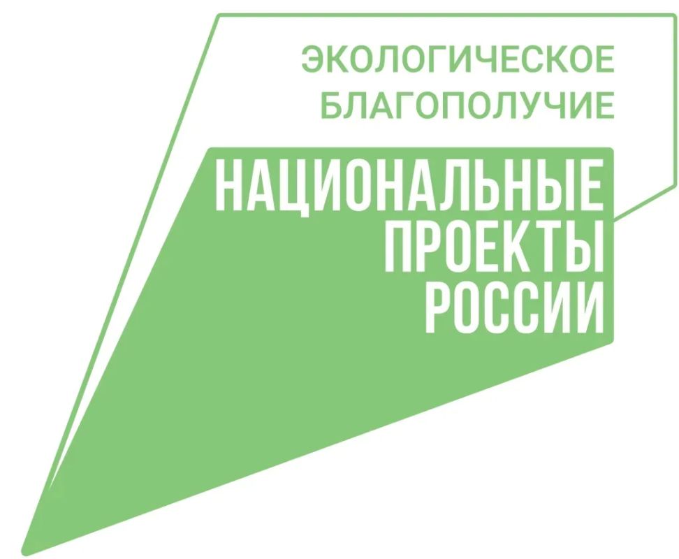 В Амурской области продолжается восстановление лесов в рамках национального проекта «Экологическое благополучие»