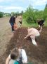В Мазановском округе продолжается сезон летнего трудоустройства подростков
