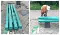 «Шипы» устранили: опасную для сидения лавочку на остановке в Благовещенске привели в порядок