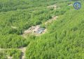 В Приамурье подвели первые итоги лесопользования: заключено 119 новых договоров аренды лесных участков