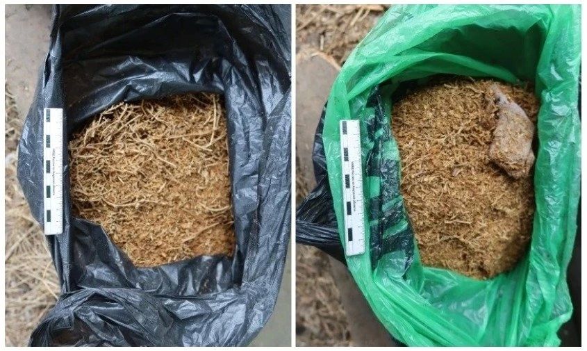 Крупную партию марихуаны нашел бдительный участковый в сарае амурчанина