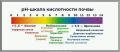 Кислотность почвы: что нужно знать садоводу, чтобы сохранить урожай