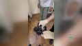 В Белогорске задержали мужчину, у которого при себе было 48 свертков с наркотиками