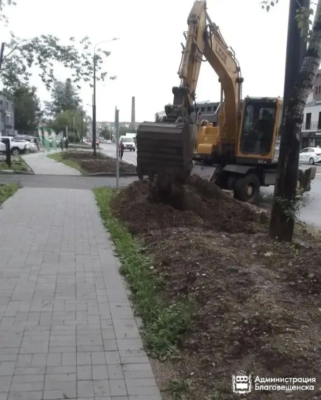 20 тысяч квадратных метров газонов: Благовещенск продолжают озеленять 20 тысяч квадратных метров газонов: Благовещенск продолжают озеленять