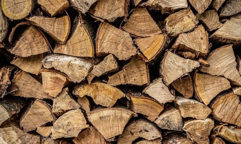 Дорогие дрова: житель Тамбовского округа за зиму нарубил дубов почти на миллион рублей