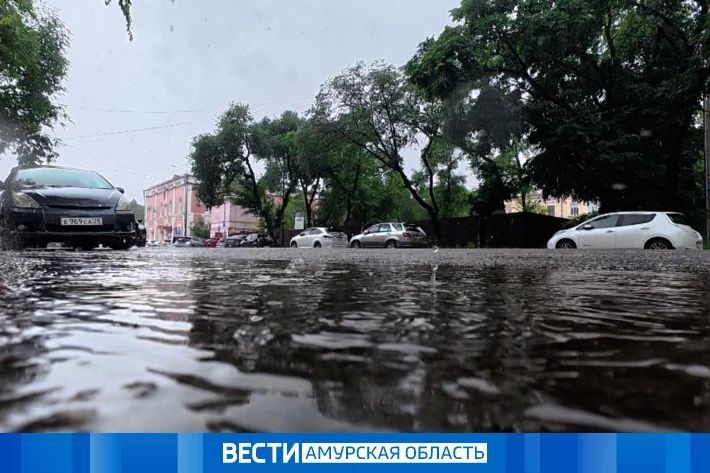 Ливни и дожди: прогноз погоды на 12 июля в Приамурье