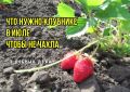 ��� ��������� �������� � ������� ����: ��� ����������� ������