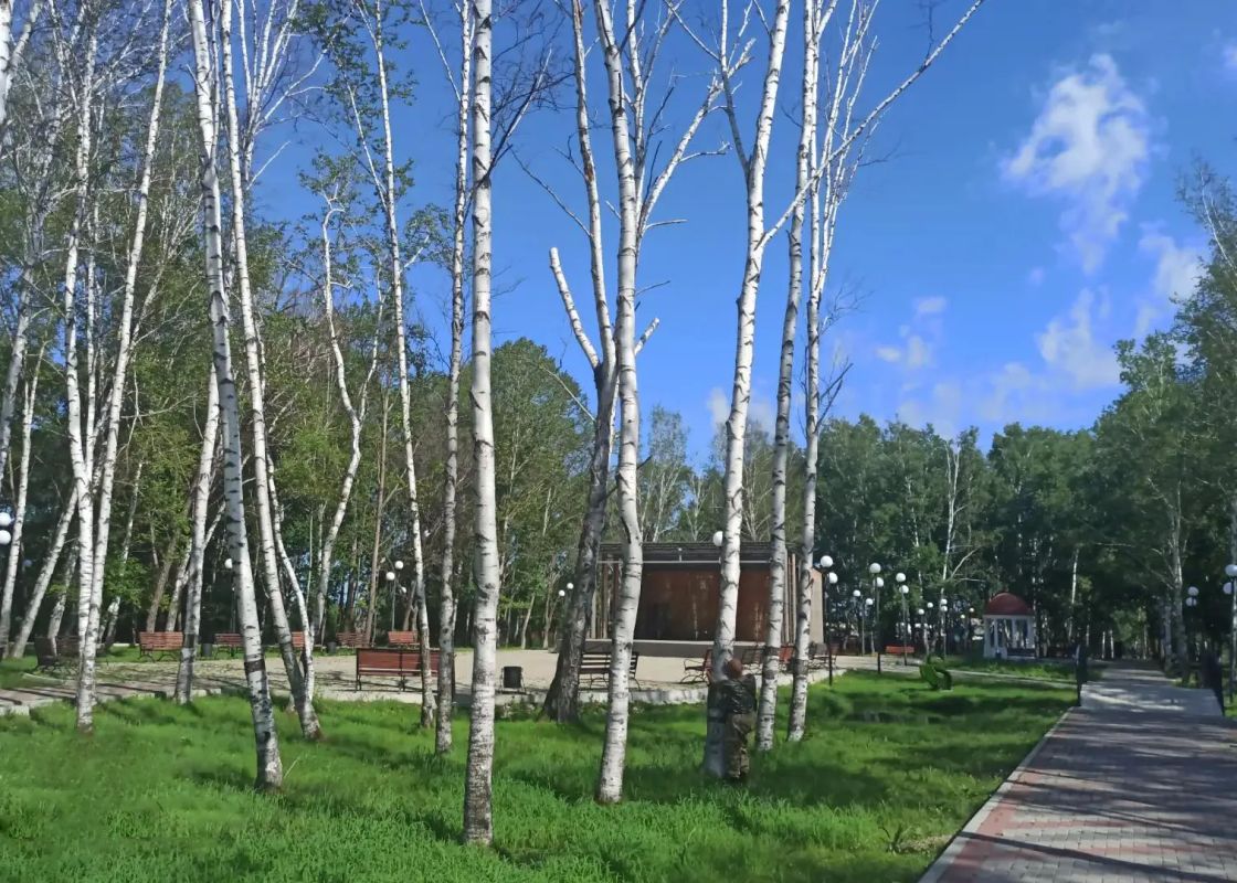 В парке поселка Прогресс обследовали усыхающие деревья В парке поселка Прогресс обследовали усыхающие деревья