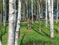 В парке поселка Прогресс обследовали усыхающие деревья
