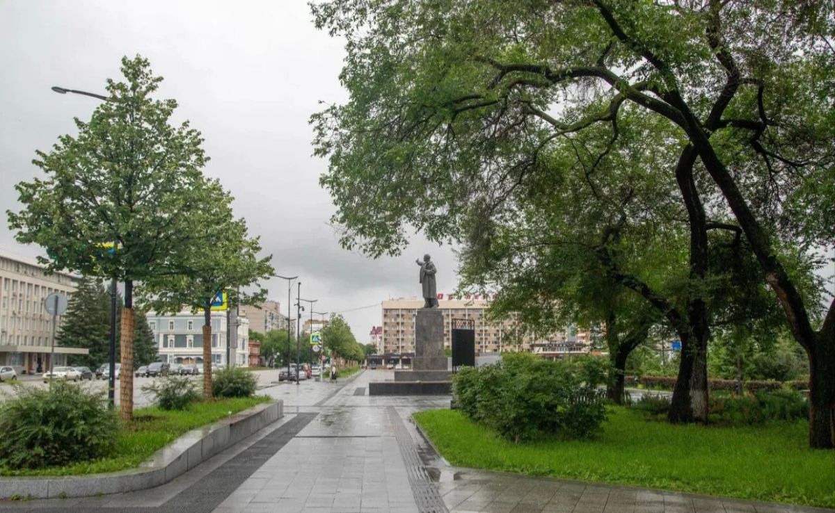 Сегодня хочу подвести промежуточные итоги озеленения города в этом году Сегодня хочу подвести промежуточные итоги озеленения города в этом году