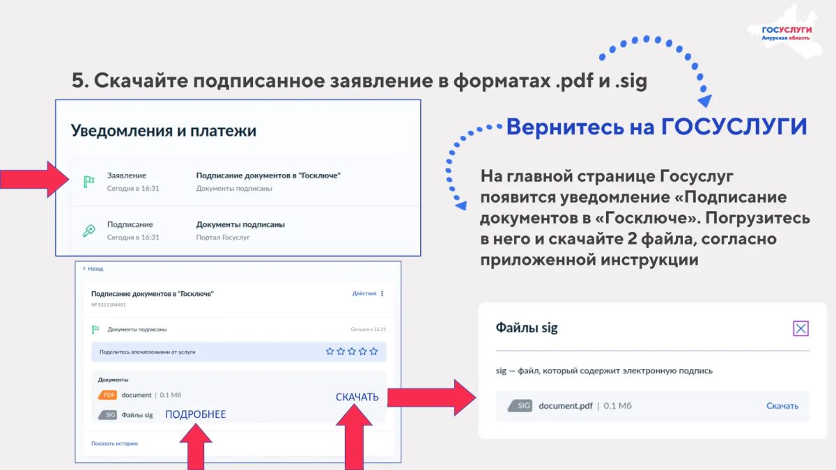 Амурчане, а вы знали, что подписать заявление можно онлайн без бумаг, сканеров и звонков? Амурчане, а вы знали, что подписать заявление можно онлайн без бумаг, сканеров и звонков?
