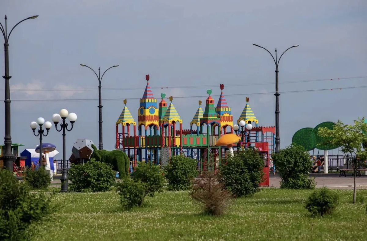 Сегодня хочу подвести промежуточные итоги озеленения города в этом году Сегодня хочу подвести промежуточные итоги озеленения города в этом году