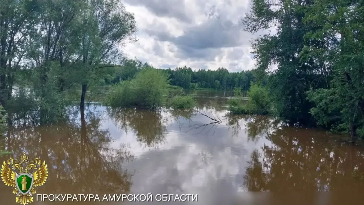 Под контролем прокуратуры в Зейском муниципальном округе следят за повышением уровня малых рек Под контролем прокуратуры в Зейском муниципальном округе следят за повышением уровня малых рек