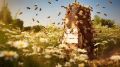 10 лет «Дальневосточный гектар» исполняет мечты амурчан
