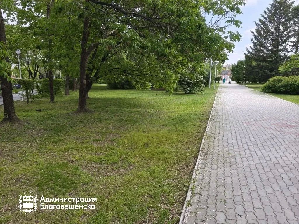 Газоны, деревья, цветники: как сотрудники ГСТК ухаживают за зелёными насаждениями в городе Газоны, деревья, цветники: как сотрудники ГСТК ухаживают за зелёными насаждениями в городе