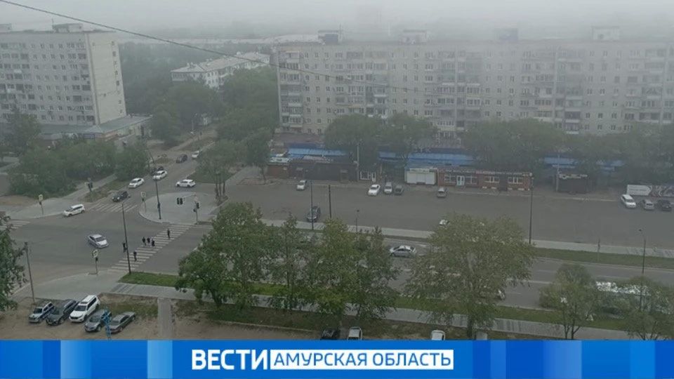 Погода в Приамурье 19 июля: дожди, грозы и туман