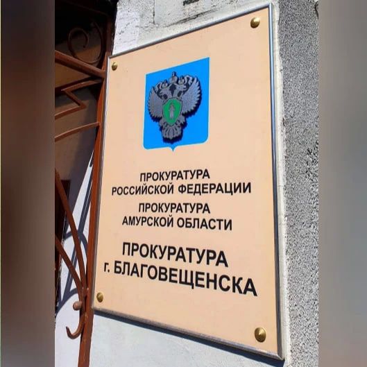 В Благовещенске руководитель коммерческой организации, решивший не исполнять решение суда, рискует лишиться свободы