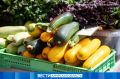 Сезон ярмарок выходного дня открывается в Благовещенске