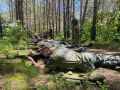 Благовещенские ребята могут ярко и патриотично провести последние месяцы лета