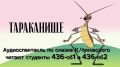 «Тараканище» как тренажер: как сказки Корнея Чуковского помогают иностранным студентам заговорить порусски