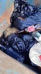 Туши выбрасывают в мусорку: в амурском селе иностранцы держат скот в условиях антисанитарии Туши выбрасывают в мусорку: в амурском селе иностранцы держат скот в условиях антисанитарии