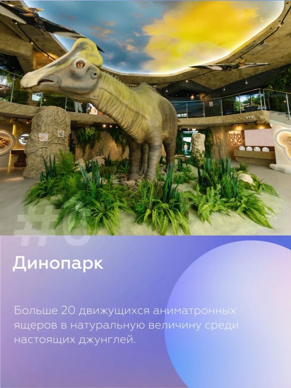 7 мест в Благовещенске, которые стоит посетить этим летом 7 мест в Благовещенске, которые стоит посетить этим летом