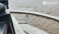 Едва не случилась беда: из Амура вытащил двух детей