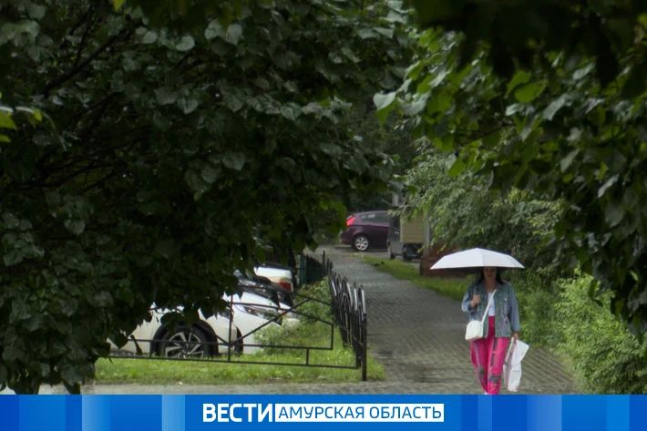 Дожди, ливни и грозы: прогноз погоды на 27 июля в Прамурье