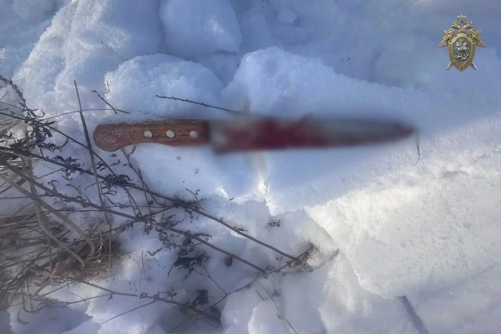 В жестоком убийстве пожилой женщины в Зейском округе обвиняют 15-летнего подростка В жестоком убийстве пожилой женщины в Зейском округе обвиняют 15-летнего подростка