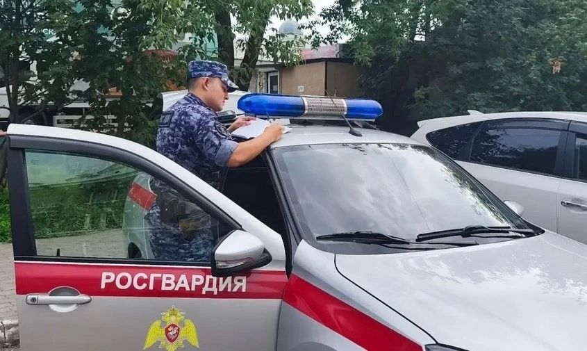 Уличного хулигана задержали утром в субботу, 25 июля, возле набережной Амура в Благовещенске