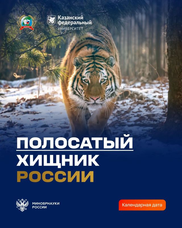 29 июля — Международный день тигра