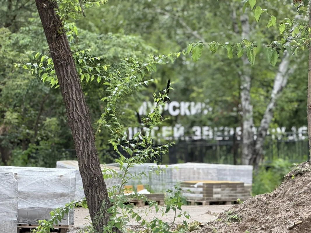 Детская площадка в «Амурском лесу» откроется в сентябре Детская площадка в «Амурском лесу» откроется в сентябре