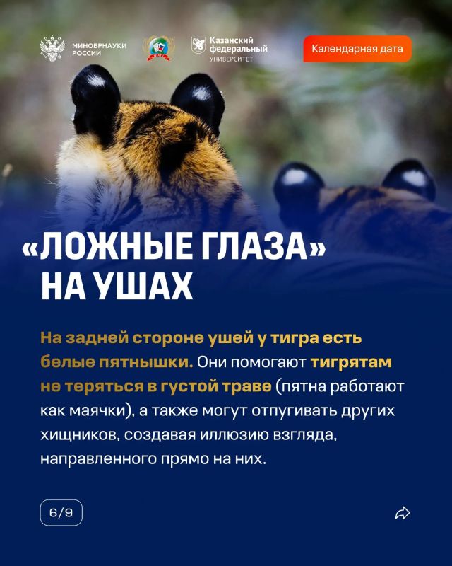 29 июля — Международный день тигра 29 июля — Международный день тигра