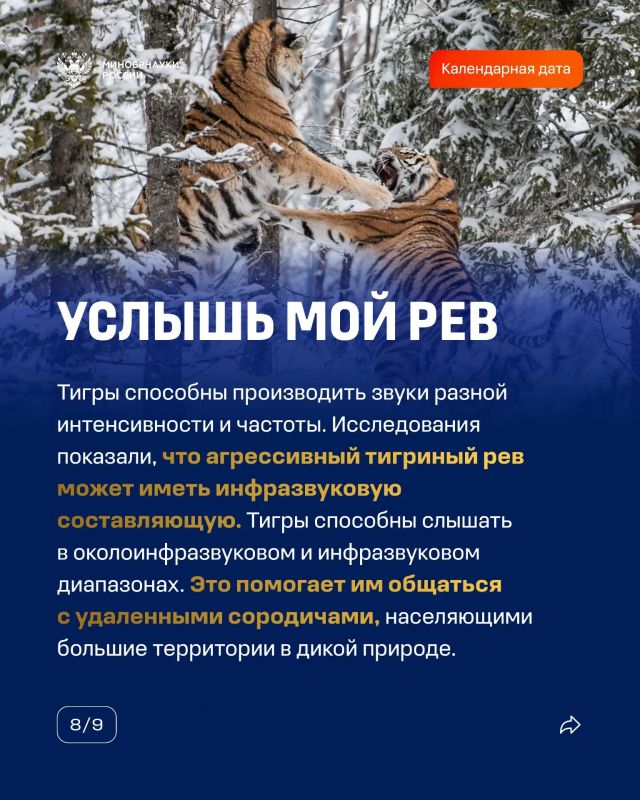 29 июля — Международный день тигра 29 июля — Международный день тигра