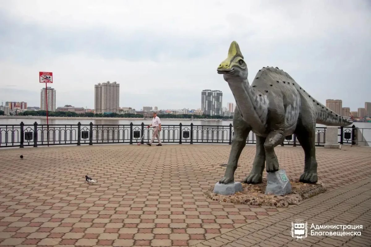 Благовещенск планирует получить звание города с самой длинной речной набережной Благовещенск планирует получить звание города с самой длинной речной набережной