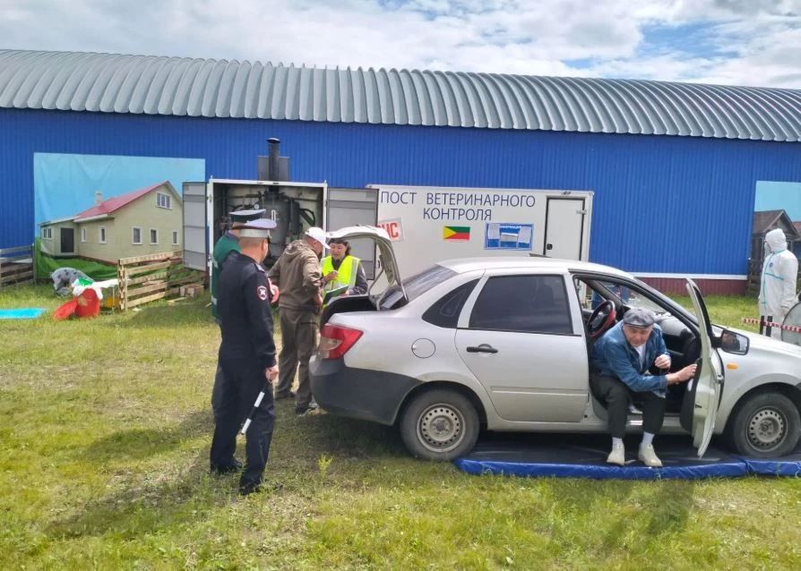 Специалисты амурского управления ветеринарии выступили экспертами в масштабных учениях, которые состоялись в Чите Специалисты амурского управления ветеринарии выступили экспертами в масштабных учениях, которые состоялись в Чите