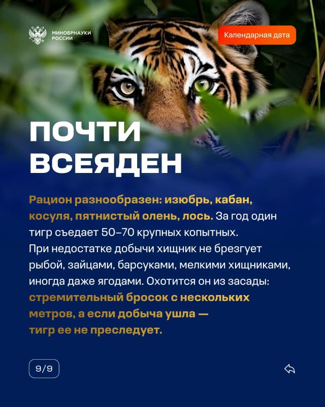 29 июля — Международный день тигра 29 июля — Международный день тигра