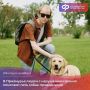 Рубрика #ИнтересныйФакт. В Приамурье людям с нарушением зрения помогают пять собак-проводников