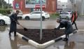 В Благовещенске обновляют газоны с помощью современных технологий