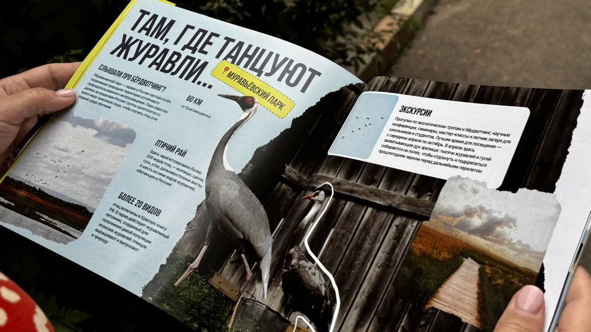 Экологический путеводитель по Амурской области создали в региональном Агентстве гостеприимства Экологический путеводитель по Амурской области создали в региональном Агентстве гостеприимства
